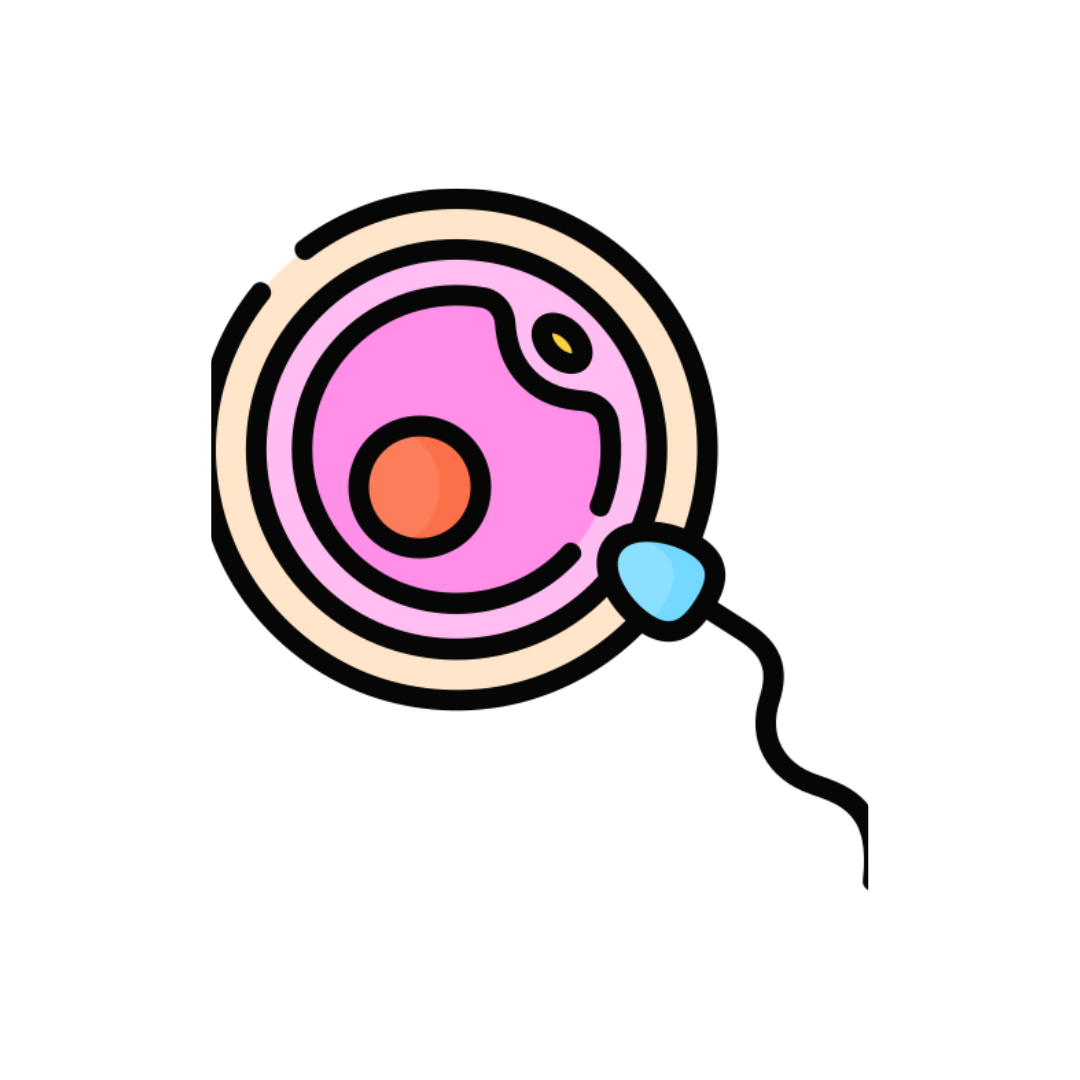 Supporto alla Fertilità