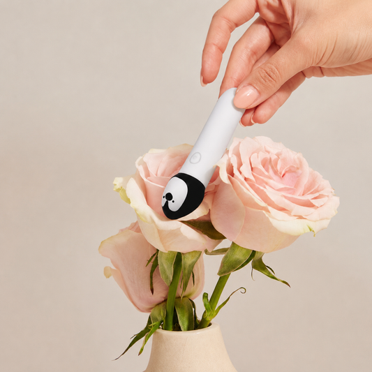 🐧 PINGU POP – Il mini vibratore che ti sorprende con la sua potenza
