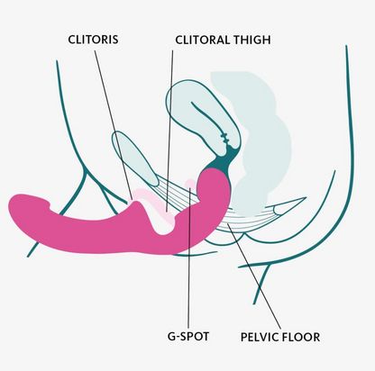 DuoMotion – Doppio Dildo Ergonomico Senza Imbracatura
